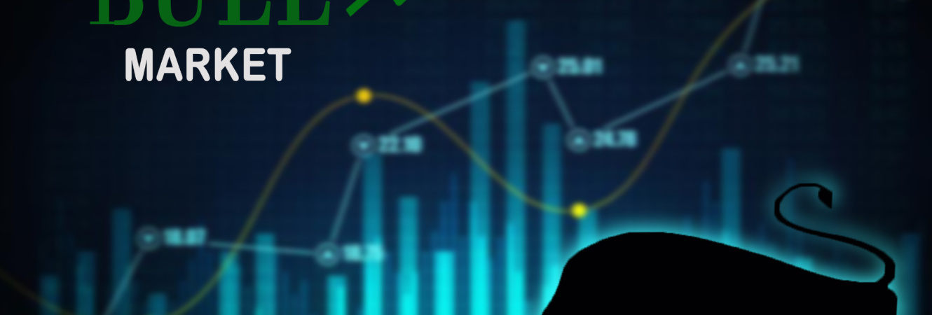 Bull Market o Bolla di Fiducia?