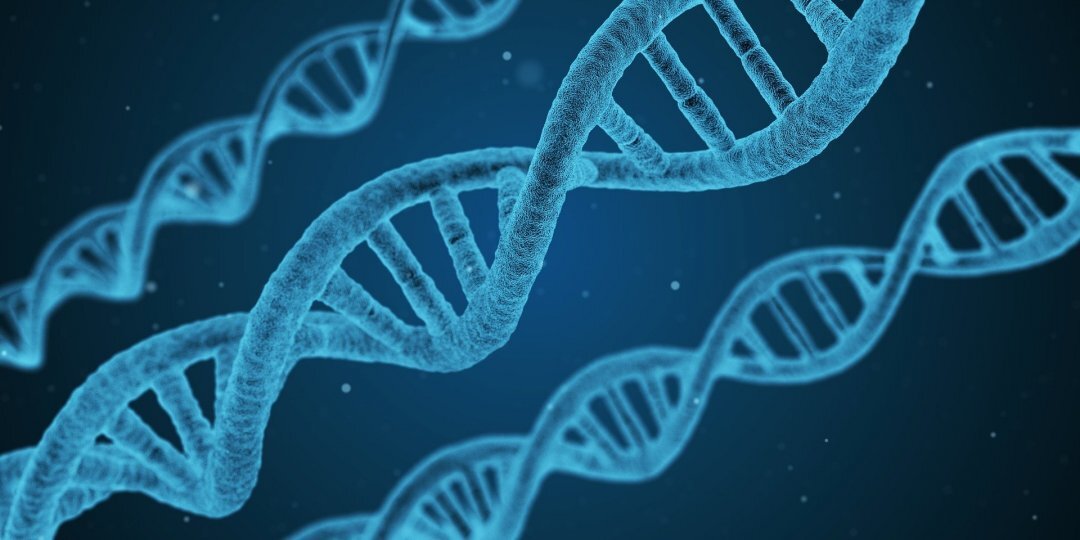 Driven by the pandemic, the biotech industry turbocharged