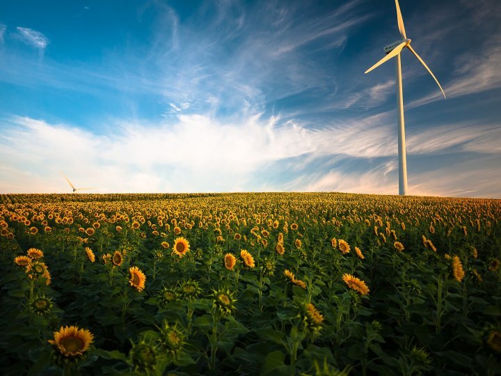 Pharus Sicav Best Regulated Companies integrates the ESG principles into the Prospectus