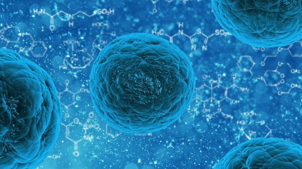 Post-COVID, new opportunities for Biotech
