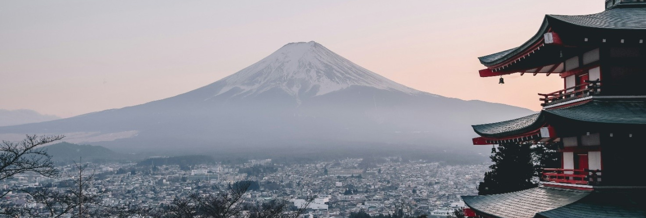 Japan: Historic turning point? 